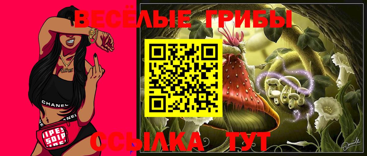 Уфа  Галлюциногенные грибы Psilocybe  Псилоцибиновые грибы мицелий  Вход с VPN 